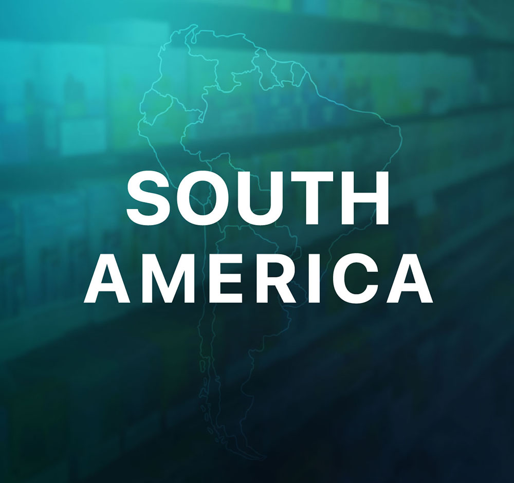 Overview of the South American E-Cigarette Market 2025